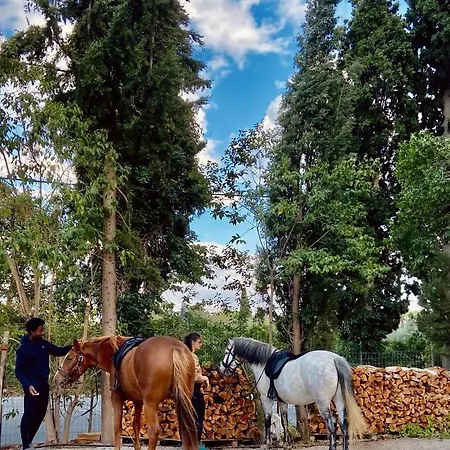 Xenicamp-retreat 럭셔리텐트 *